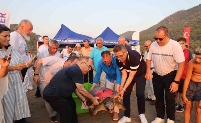 ‘Tuba’ya ikinci kez uydu takip cihazı takıldı