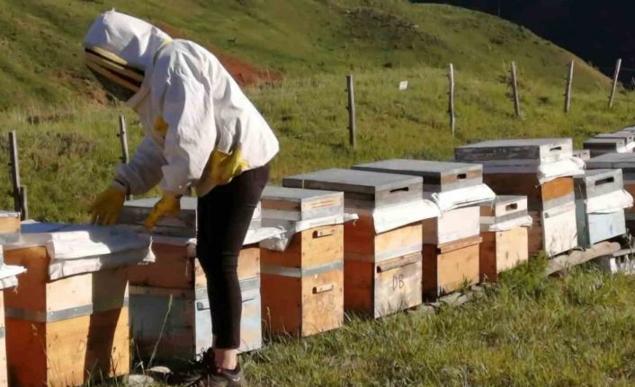 Tunceli Arıcı Yetiştiricileri Birliği bal alım fiyatlarını açıkladı