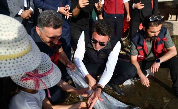 Tunceli’de 850 bin adet balık suyla buluşturuldu