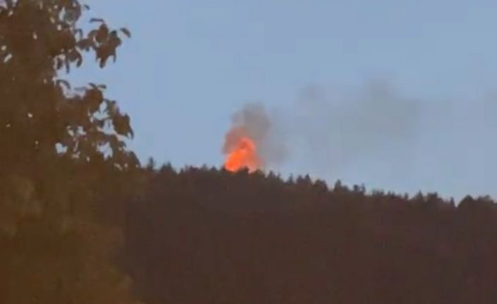 Türbede çıkan yangın ormana sıçradı