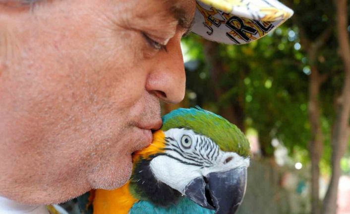 Turgut Özal’ın kaybolan papağanı 3 gün sonra bulundu