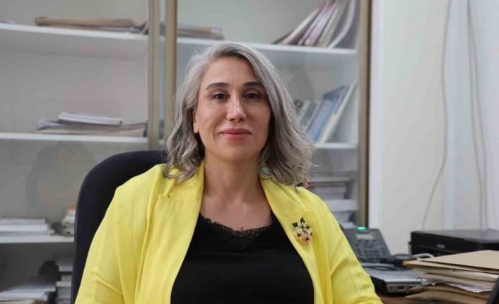 Türk bilim insanlarından dev çalışma, elektrikli araçlar daha güvenli olacak