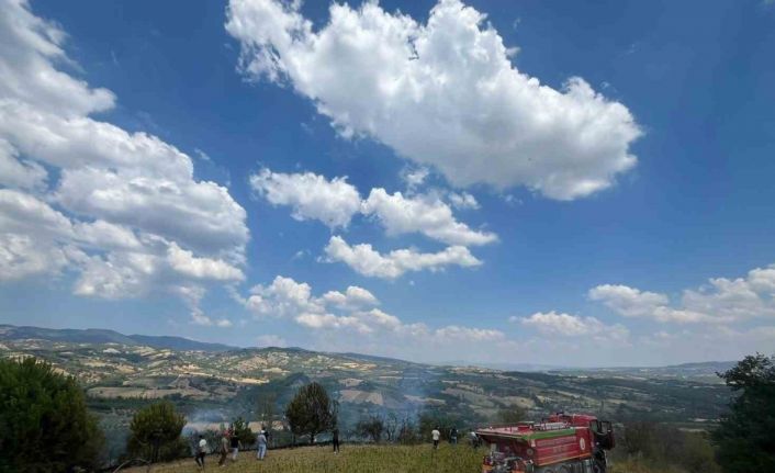 Tütün tarlasına çekilen seyyar elektrik kablosu yangına neden oldu