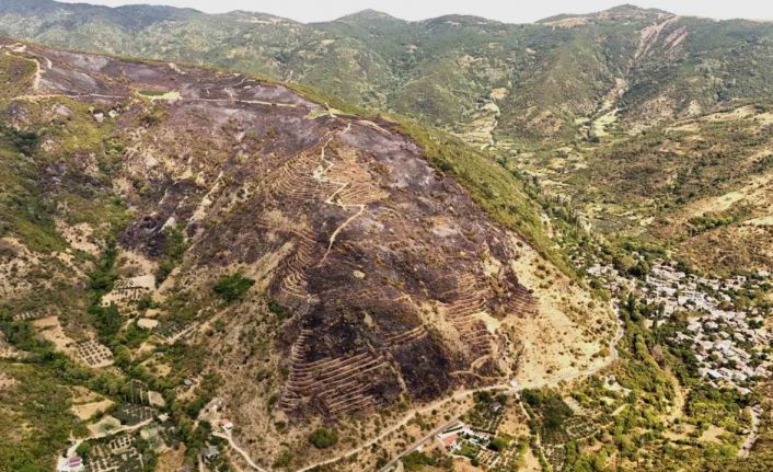 Uçmakdere’de yanan alanlar havadan görüntülendi