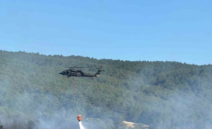 Uşak’ta orman yangınına havadan ve karadan müdahale ediliyor