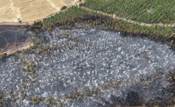 Uşak’ta ormanlık alana sıçrayan yangın söndürüldü