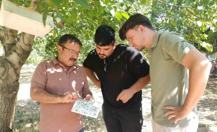 Uşak’ta tarımsal zararlılarla mücadele çalışması