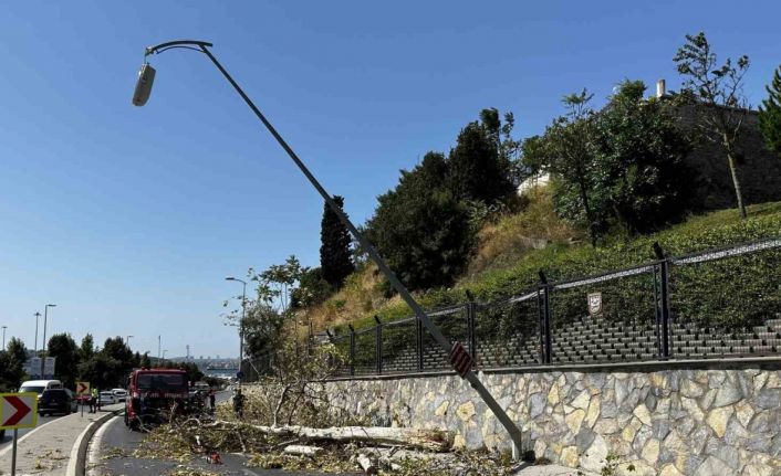 Üsküdar’da ağaç seyir halindeki otomobilin üzerine devrildi