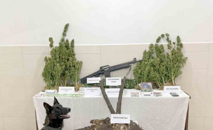 Uyuşturucu ticareti ile kaçak avcılık yapan şahıs tutuklandı