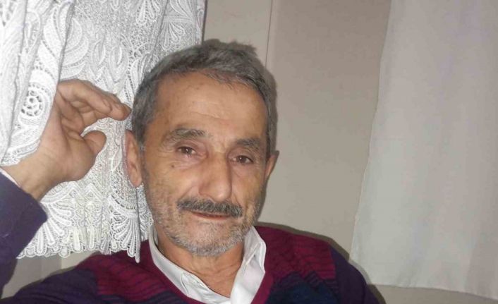 Üzerine ağaç devrilen adam hayatını kaybetti