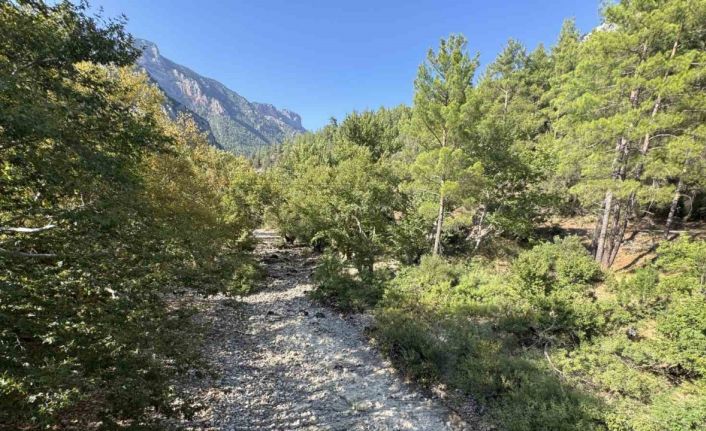 Üzümdere Irmağı kuraklığa yenik düştü, eski halinden eser kalmadı