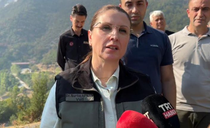 Vali Arslan’dan yangına ilişkin açıklama