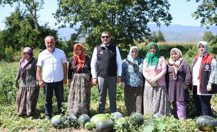 Vali Aslan, uygulama tarlasında incelemelerde bulundu