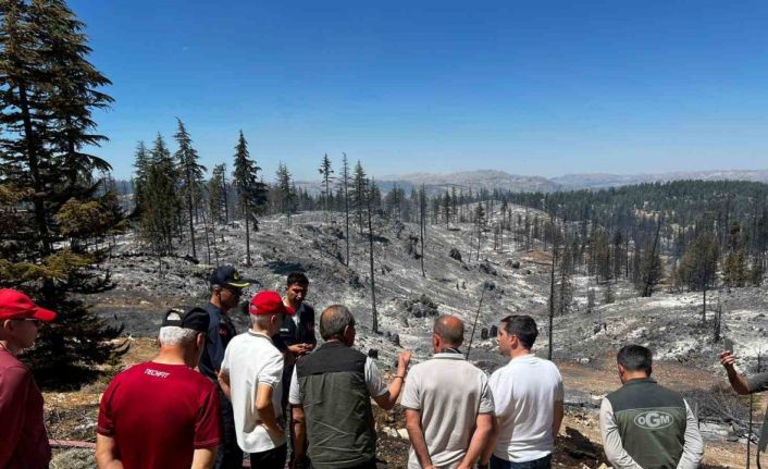 Vali Mehmet Fatih Çiçekli: "Yangın tamamen kontrol altına alındı"
