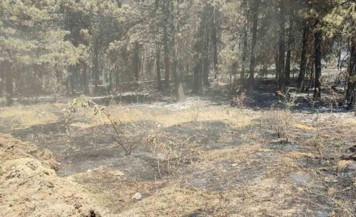 Vali Özarslan: "Yangın nedeniyle tahliye edilenler köylerine dönebilir"