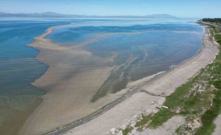 Van Gölü alarm veriyor