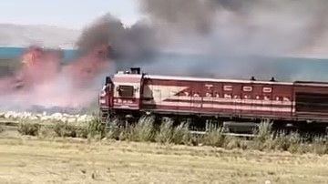 Van’da Erçek Gölü sazlıklarında yangın