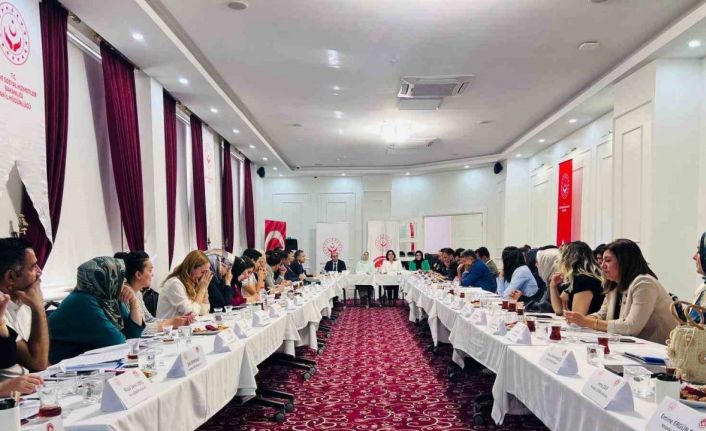 Van’da ‘Kadın Hizmetleri Bölgesel İstişare Toplantısı’ yapıldı