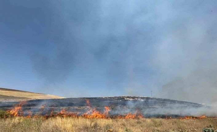 Van’da kuru ot yangını: Yüzlerce dönüm arazi kül oldu