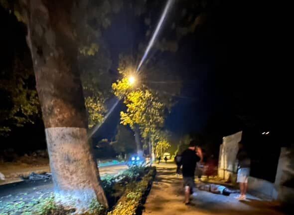 Yalova’da ağaca çarpan motosikletli ağır yaralandı