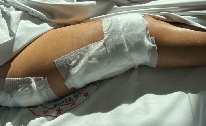 Yalova’da sürat teknesinin çarptığı yaşlı kadın ağır yaralandı