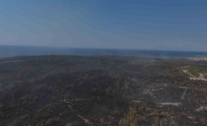 Yanan ormanın görüntüsü yürekleri dağladı