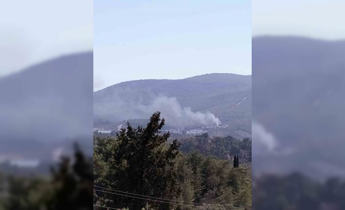 Yangın ormana sıçramadan söndürüldü