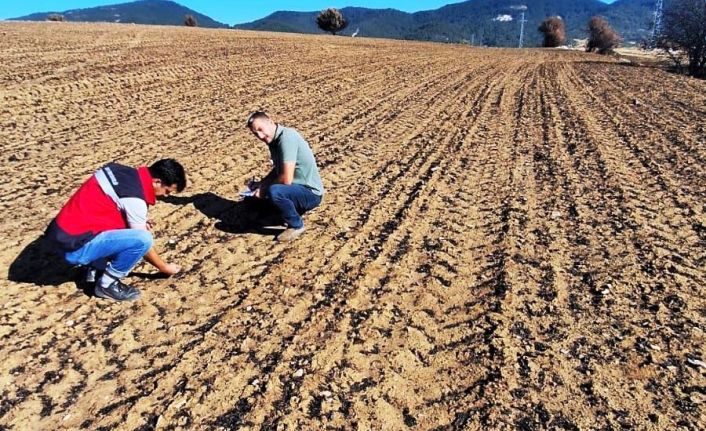 Yangından etkilenen hububat ekili alanlarda hasar tespit çalışması