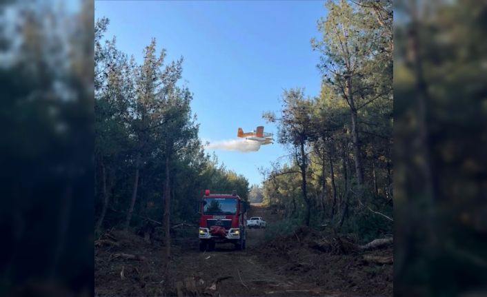 Yangınların yüzde 57’si orman dışı alanlarda başladı