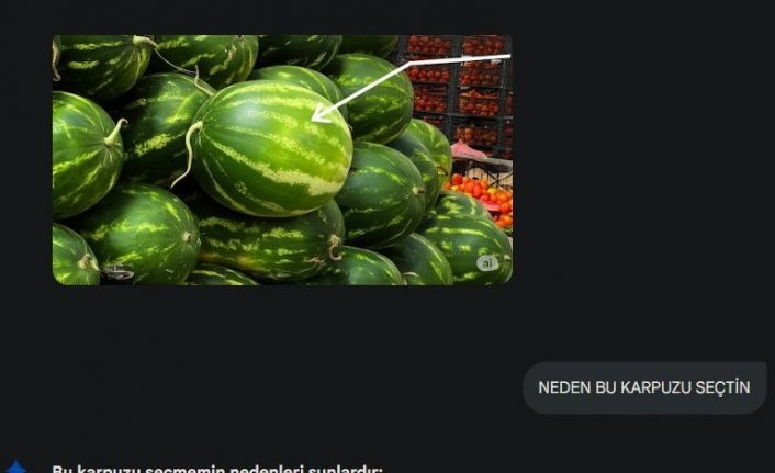 Yapay zeka pazara indi, karpuz seçimine başladı