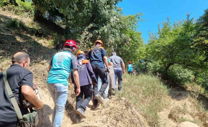 Yaşadığı dağlık alanda rahatsızlanan yaşlı kadın için ekipler seferber oldu