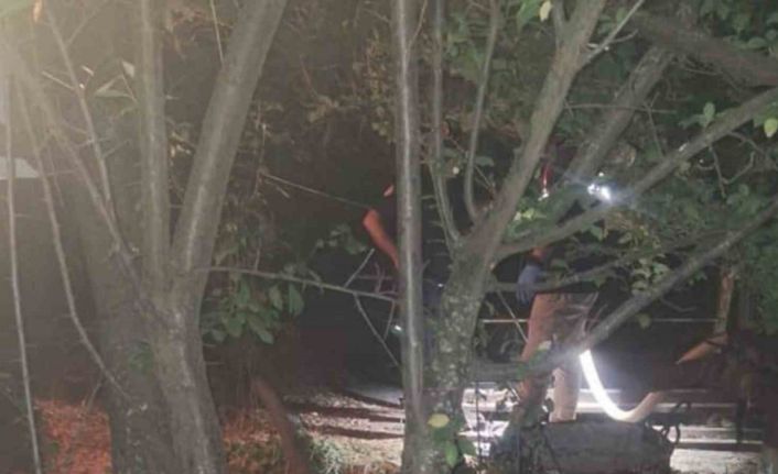 Yaşlı kadın su kuyusuna düşerek öldü