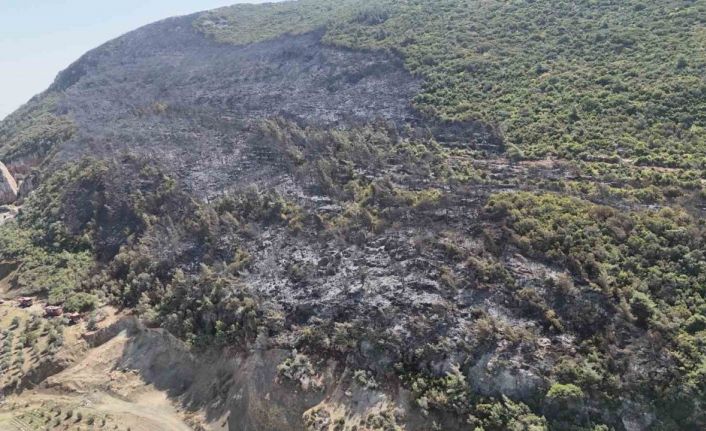 Yayladağı’nda çıkan orman yangını kontrol altına alındı