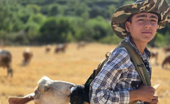 Yeni doğan oğlağı çantasında taşıdı, anne keçi peşinden ayrılmadı