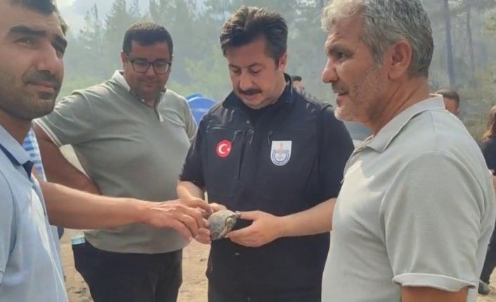Yenişehir Belediye Başkanı Özel, yangından etkilenen kaplumbağaya suyla müdahale etti