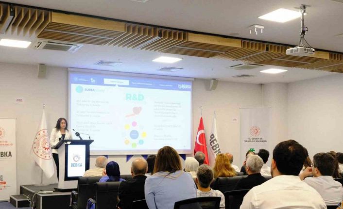 Yerel Kalkınma Hamlesi Teşvik Sistemi Bursa’da tanıtıldı