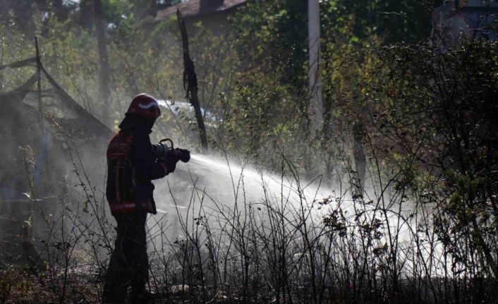 Yerleşim alanına yakın ormanlık alanda korkutan yangın: Mahalleli sokağa döküldü