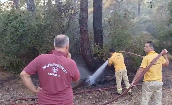 Yıldırım yangını söndürüldü