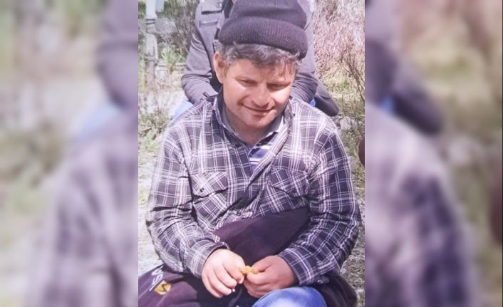 Yolun karşısına geçmek isterken canından oldu