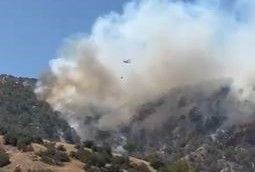 Yön değiştiren yangın Buldan’ı tehdit ediyor