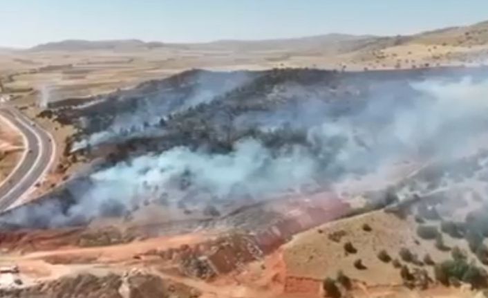 Yozgat’ta 70 dönüm arazi küle döndü