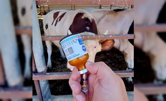 Yozgat’ta kapatılan hayvan pazarları yeniden açıldı