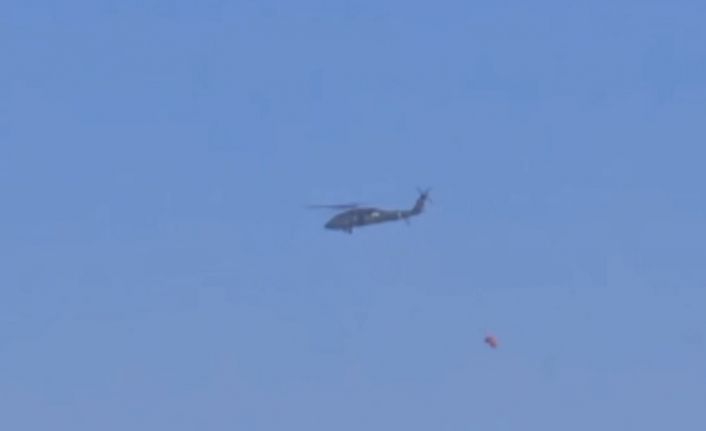 Yüksekova Dağlıca köyünde orman yangını