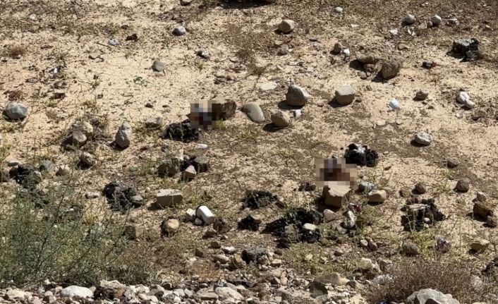 Yüksekova’da mezarlık yanına bırakılan bira şişeleri tepki topladı