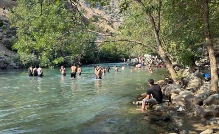 Yüksekova’da sıcakta bunalanlar Avaşin Deresi’nde serinliyor