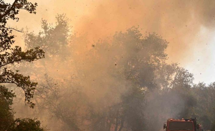 Yunanistan’da orman yangınları yerleşim yerine sıçradı