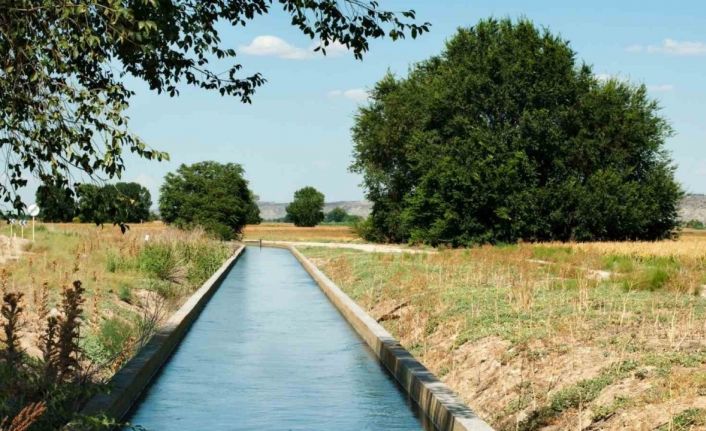 Yüreğir Ziraat Odası Başkanı Doğan: "Sulama ücretlerinin ertelenmesi gerekmektedir"