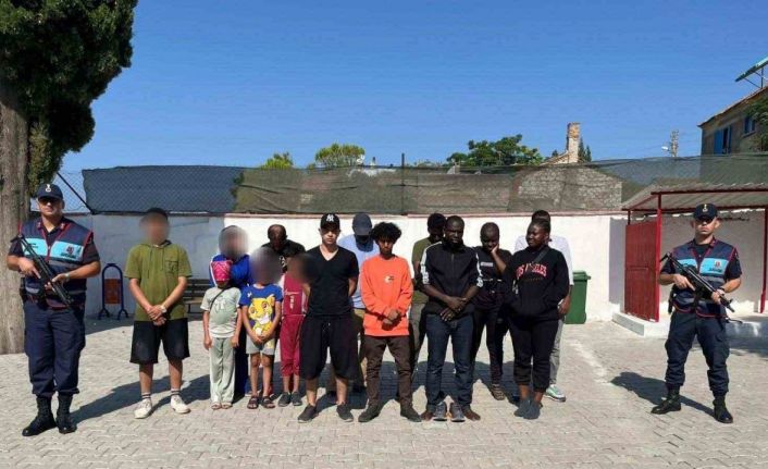 Zeytinlik alana saklanan 16 düzensiz göçmen yakalandı