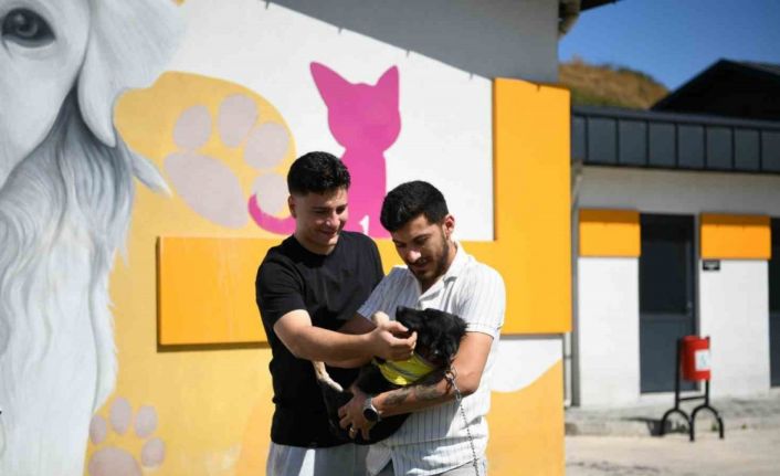 "Zift" yeni yuvasına kavuştu