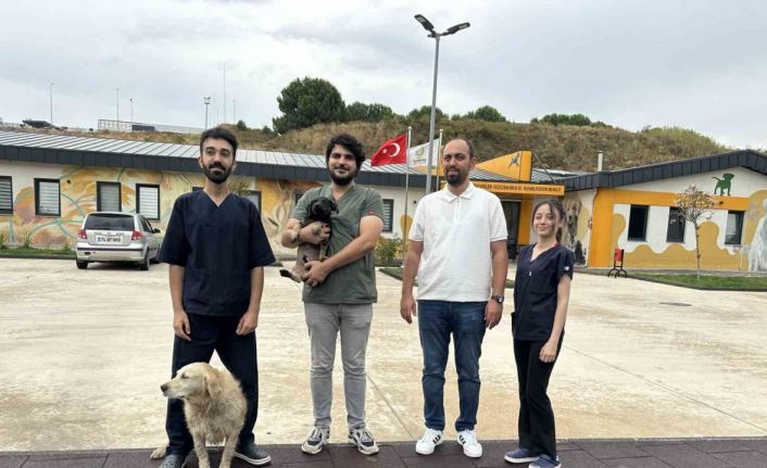 Zifte bulanan yavru köpek rehabilitasyon merkezinde yaşama tutundu